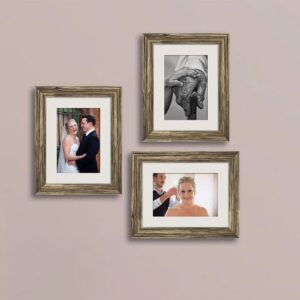 Amrik Set Of 3 Decorative Wall Photo Frames (Antique Gold)