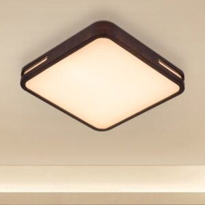 Nip In The Air (Black, Dimmable LED with Remote Control) Ceiling Light