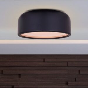 Live A Little (Chrome, 3 Color Built-In LED) Ceiling Light