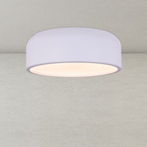Daytime Dawn (Black, 3 Color Dimmable LED with Remote Control) Ceiling Light