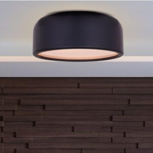 Artistic (19", Grey, Smart LED) Ceiling Light (3 Smart LED Bulbs Included)