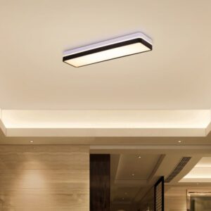 Give A Little (Black, 3 Color Built-In LED) Ceiling Light