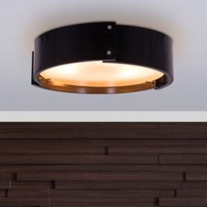 Do You Believe (Wooden, Dimmable LED With Remote Control, Wood Finish) Ceiling Light